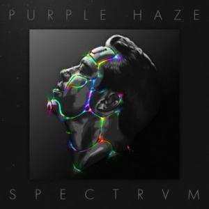 Sander van Doorn pres. Purple Haze - SPECTRVM (The Extended Mixes)