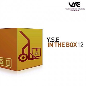  VA - Y.S.E. In The Box Vol.12