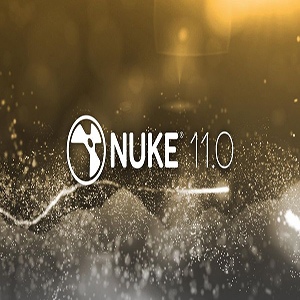 The Foundry NUKE STUDIO + HIERO 11.0 v2 [En]