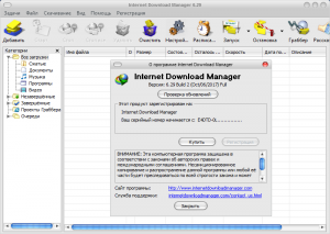 Internet Download Manager 6.41 Build 2 RePack by KpoJIuK [Multi/Ru]