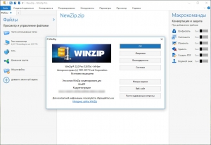 WinZip Pro 22.5 Build 13114 Final RePack by D!akov [Ru/En]
