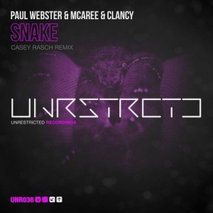 Paul Webster and McAree and Clancy - Snake (Casey Rasch Remix)