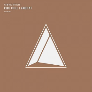  VA - Pure Chill & Ambient Vol.06