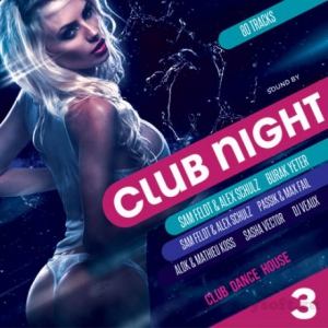VA - Club Night Vol.3