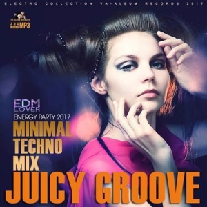 VA - Juicy Groove: Minimal Techno Mix