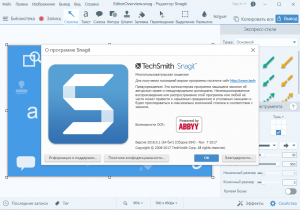 TechSmith SnagIt 2018.2.2 Build 2240 RePack by KpoJIuK [Ru/En]