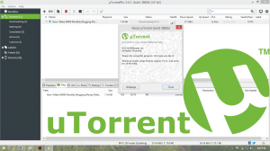 Torrent Pro 3.5.5 Build 45574 Stable RePack (& Portable) by D!akov [Multi/Ru]