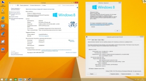 Microsoft Windows 8.1 Professional VL with Update 3 x86-x64 Ru by OVGorskiy 11.2017 2DVD