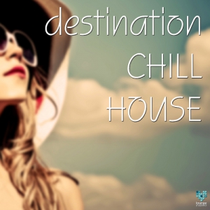 VA - Destination Chill House