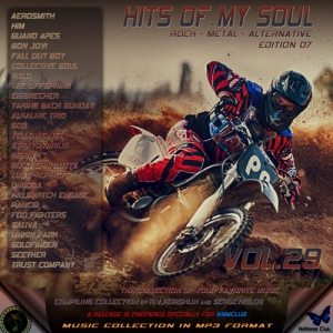 VA - Hits of My Soul Vol. 29