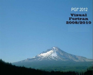 PGI Visual Fortran 12.10 [En]