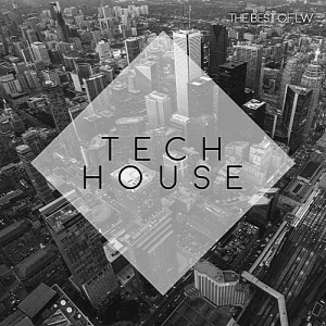 VA - Best Of LW Tech House II