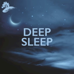 David Arkenstone - Deep Sleep