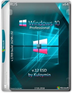Windows 10 Pro 1709 x86/x64 by kuloymin v12 (esd) [Ru]