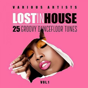 VA - Lost In House (25 Groovy Dancefloor Tunes) Vol.1