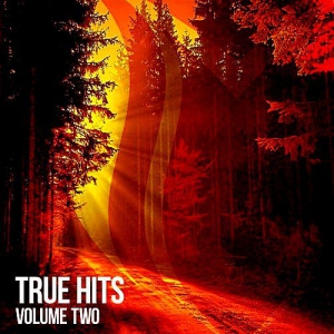 VA - True Hits Vol.2 