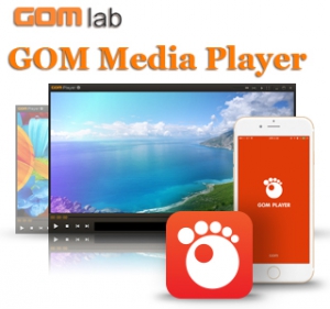 GOM Player Plus 2.3.25.5282 RePack (&Portable) by Manshet [Ru/En]