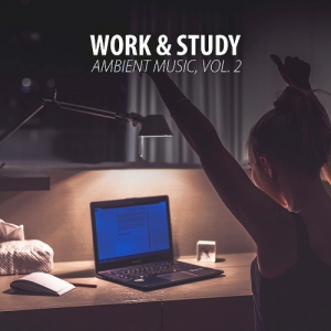 VA - Work & Study Ambient Music Vol. 2