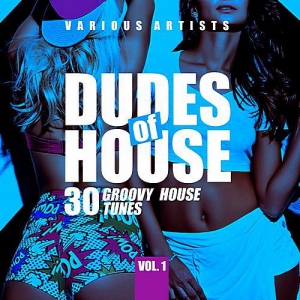 VA - Dudes Of House (30 Groovy House Tunes) Vol.1