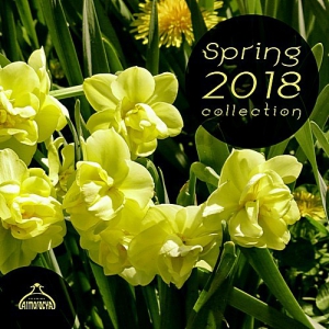  VA - Spring 2018 Collection