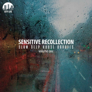 VA - Sensitive Recollection Vol 1: Slow Deep House Grooves