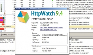 HttpWatch Professional Edition 9.4.17 [En]