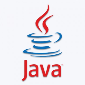 Java SE Runtime Environment 10.0.2 (x64) [En]