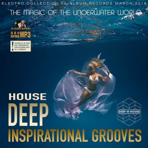 VA - Deep Inspirational Grooves