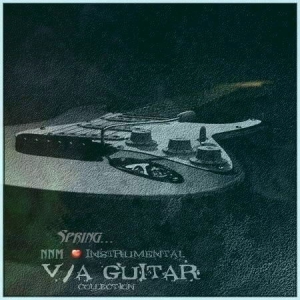 VA - Guitar Collection (Spring)