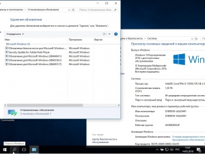 Zver Windows 10 Enterprise LTSB x64 v2018.5 [Ru]
