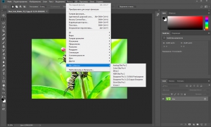 Adobe Photoshop CC 2018 (19.1.6) x86-x64 Portable by punsh (with Plugins) [Multi/Ru]