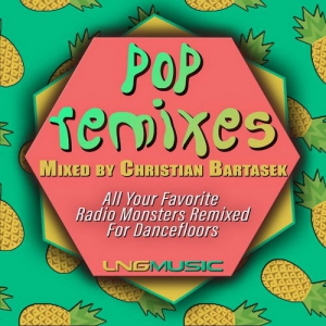 VA - Pop Remixes Mixed By Christian Bartasek