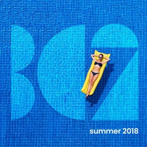 VA - BC2 Summer 2018