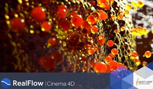 NextLimit RealFlow 3.0.0.0020 for Cinema 4D [En]