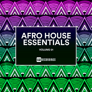 VA - Afro House Essentials Vol.01