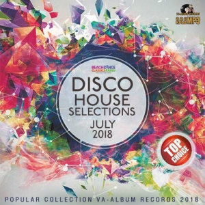 VA - Disco House Selections