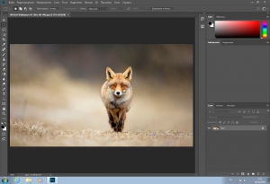 Adobe Photoshop CC 2018 v19.1.3.49649 (x64) [Multi/Ru]