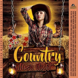 VA - Country Music Night