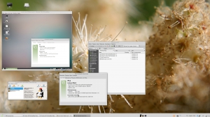 Linux   22.3.6 ( Mint Mate 18.3)