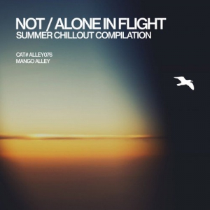 VA - Not/Alone in Flight