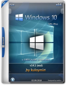 Windows 10 HSL/Pro 1803 x64 by kuloymin v14.2 (esd) [Ru]