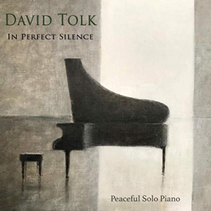 David Tolk - In Perfect Silence