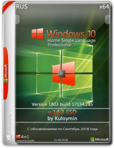 Windows 10 HSL/Pro 1803 x64 by kuloymin v14.3 (esd) [Ru]