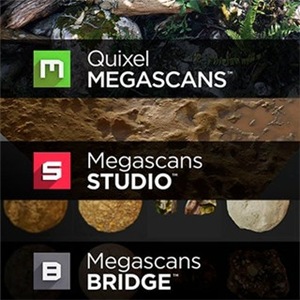 Quixel Megascans + Studio + Bridge 0.922 beta [En]