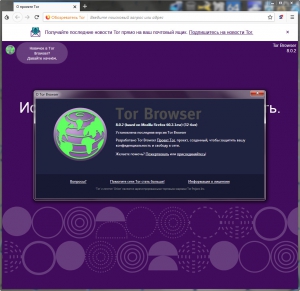 Tor Browser Bundle 11.5.8 [Ru/En]