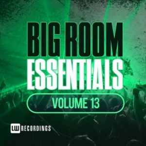 VA - Big Room Essentials Vol.13