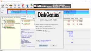 DiskGenius Professional 5.0.0.589 RePack by WYLEK [Ru]