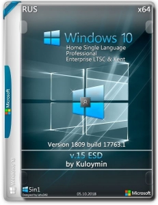 Windows 10 PRO/HSL/LTSC & Kent x64 1809 by kuloymin v15 (esd) [Ru]