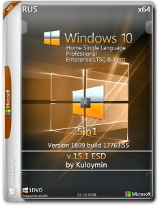 Windows 10 (v1809) x64 5in1 by kuloymin v17.1 (esd) [Ru]