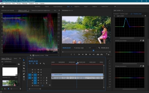 Adobe Premiere Pro CC 2019 13.0.1.13 [Multi/Ru]